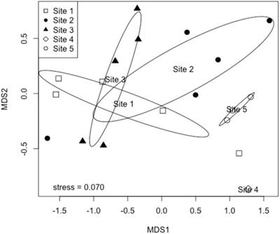 Source-Specific Patterns of Marine Debris and Associated Ecological Impacts in the Red River Estuary of Xuan Thuy National Park, Vietnam